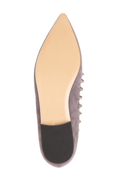 Beautiisoles Celeste Pointed Toe Loafer In Gray