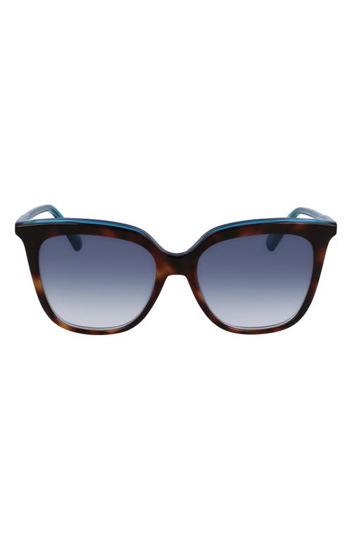 Longchamp 53mm Rectangular Sunglasses in Havana/Azure at Nordstrom