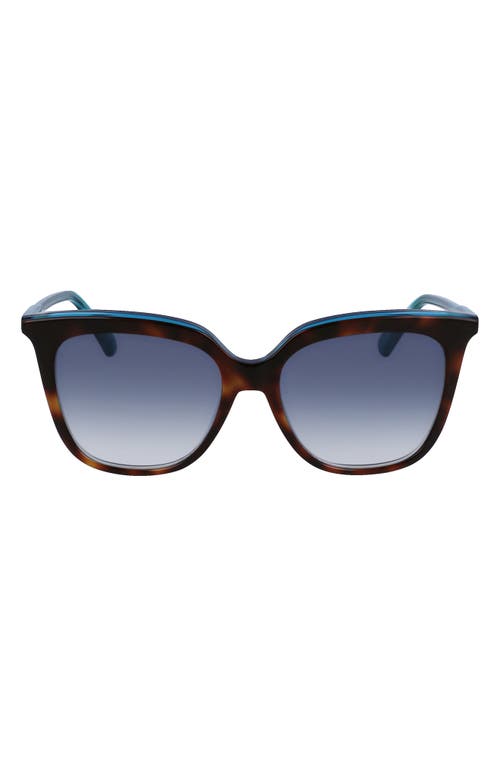 Shop Longchamp 53mm Rectangular Sunglasses In Havana/azure