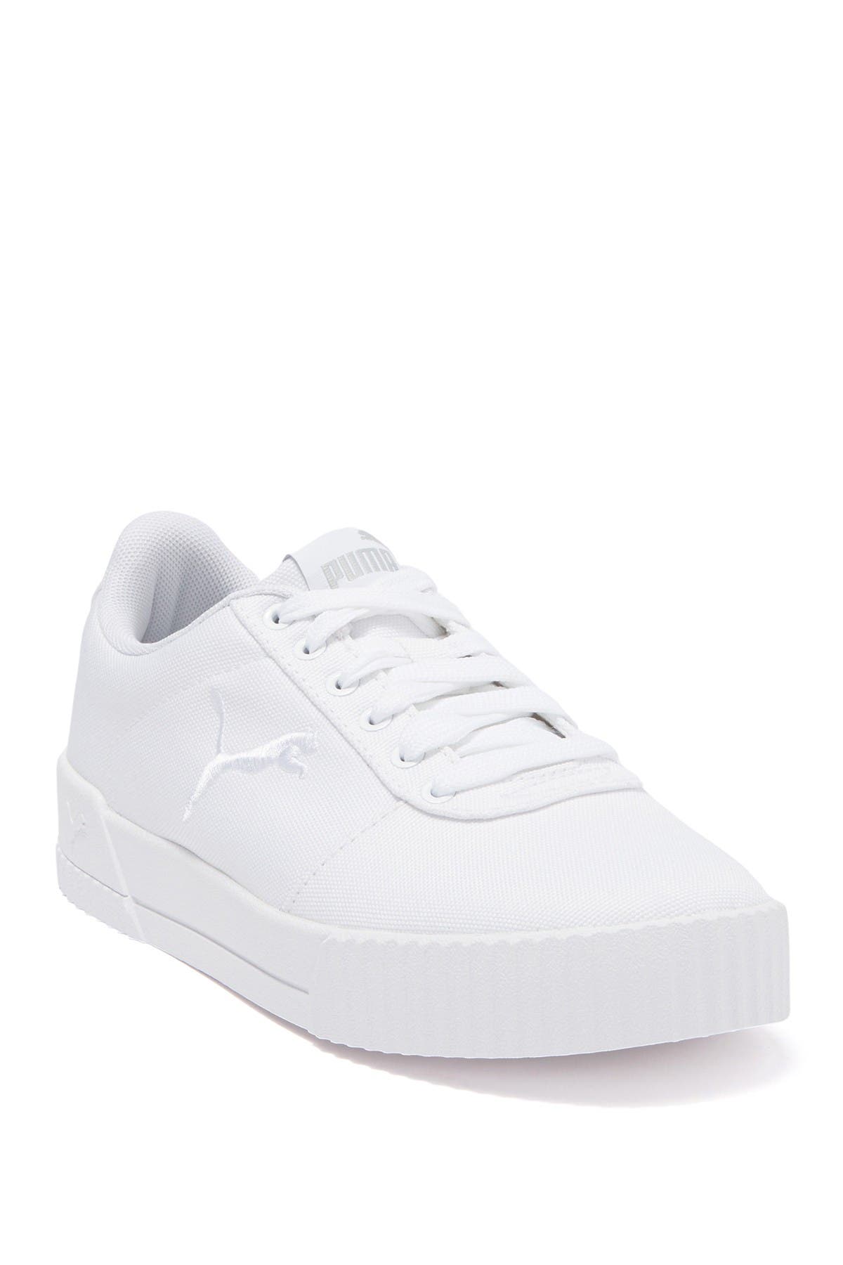 puma carina summer cat