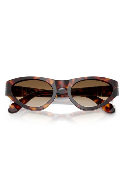 Shop Persol 53mm Polarized Butterfly Sunglasses In Havana