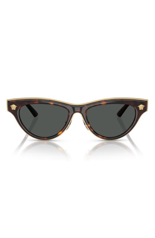 Shop Versace 52mm Cat Eye Sunglasses In Havana