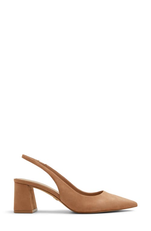 Aldo Uliana Slingback Pointed Toe Pump In Brown