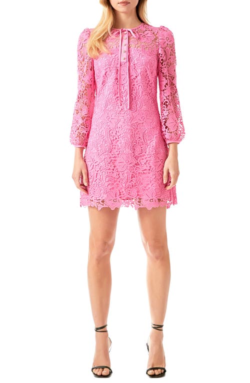 Endless Rose Lace Long Sleeve Minidress Pink at Nordstrom,