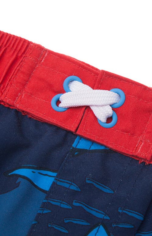 Shop Rokka&rolla Toddler Swim Trunks With Mesh Lining Upf 50+ In Baby Blue Shark