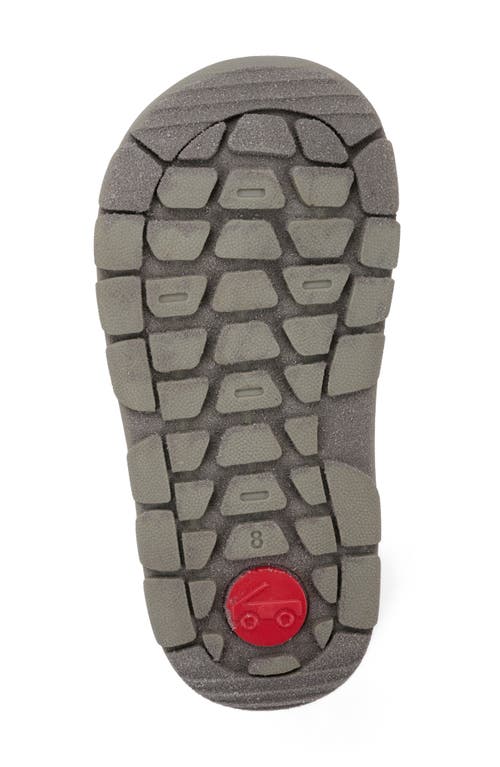 See Kai Run Summit Low Top Sneaker In Gray/multi