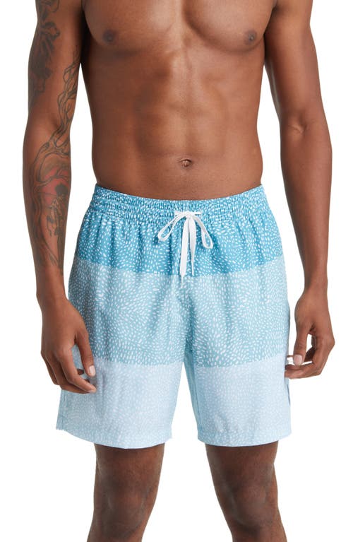 Classic 7-Inch Swim Trunks in The Whale Sharks