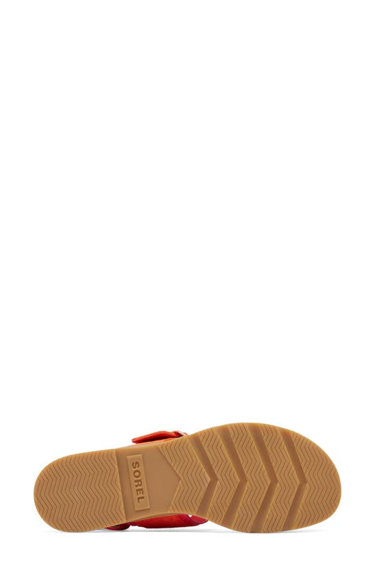 Shop Sorel Ella Iii Slingback Sandal In Red Glo/ Gum 16