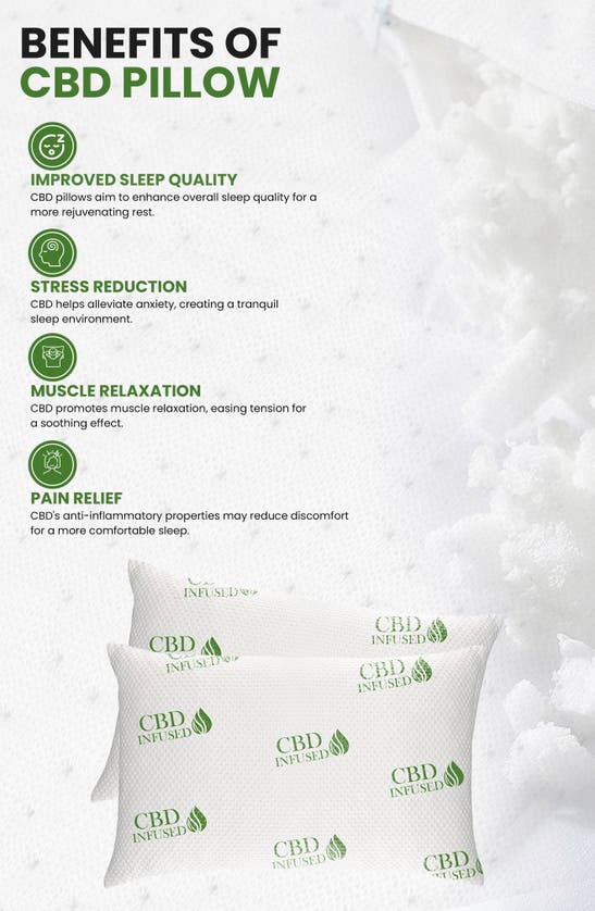 Luxury Home 2-pack Infused Memory Foam Pillows In Cbd