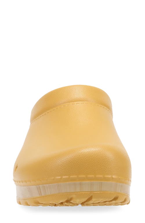 Shop Dansko Kane Clog In Mustard