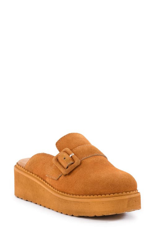 SEYCHELLES SEYCHELLES COME TOGETHER PLATFORM WEDGE LOAFER MULE