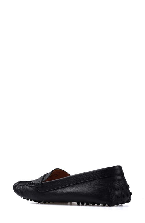 National Comfort Talulah Penny Loafer In Black Leather