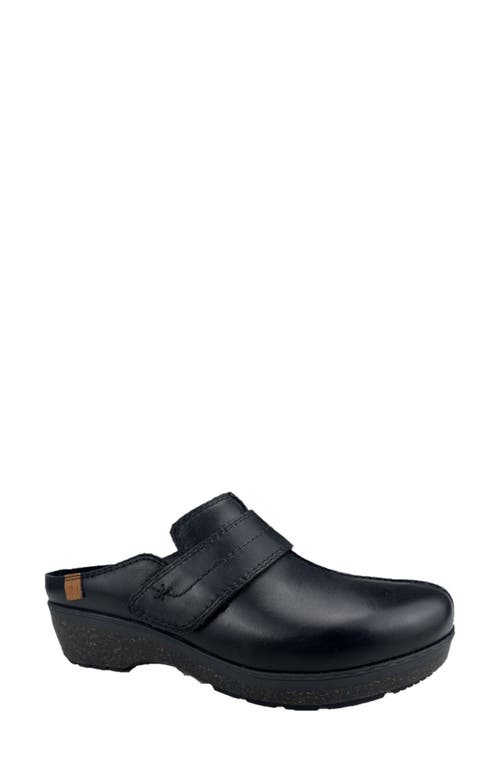 Shop Josef Seibel Darla Clog In Black