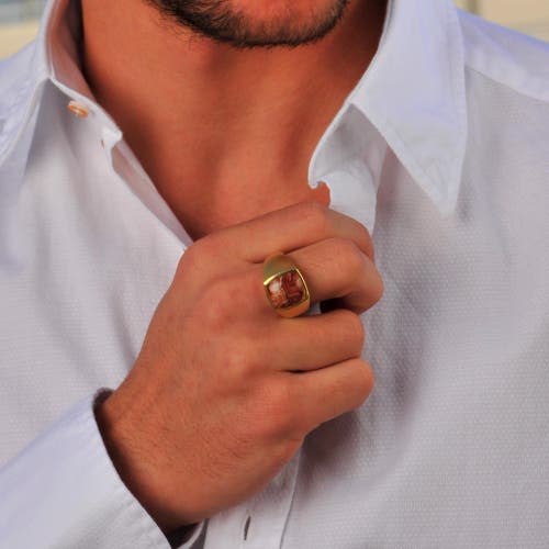 Luvmyjewelry Red Lace Agate Iconic Sterling Silver Men Signet Ring In 14kt Gold Vermeil On Sterling