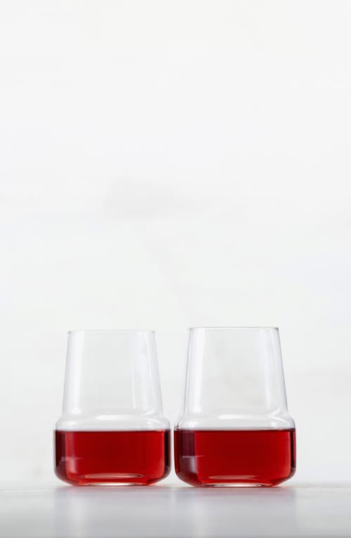 Shop Fortessa Level Set Of 2 Red Wine Glasses In Clear