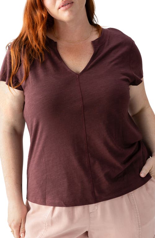 Shop Sanctuary The New Girl Split Neck Cotton T-shirt In Dark Cherry