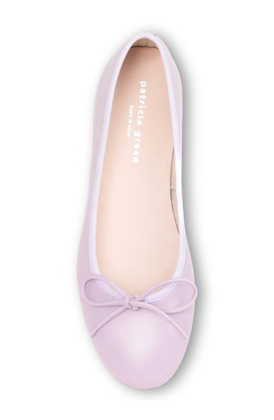 Shop Patricia Green Skim Ballerina Flat In Lilac