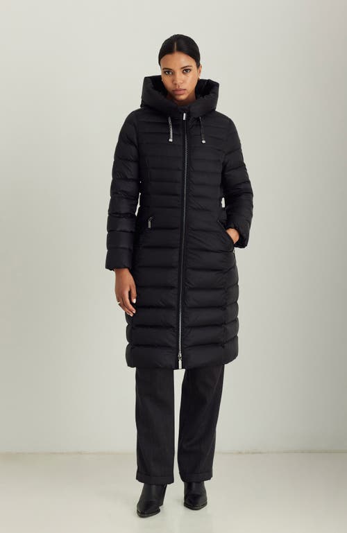 Shop Dawn Levy Angelica Coat In Black