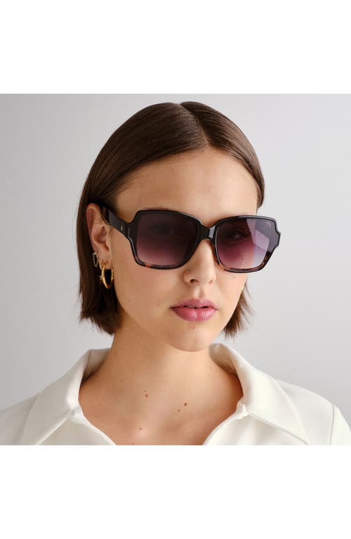 Aire Fortuna 63mm Square Sunglasses In Tortoise Splice