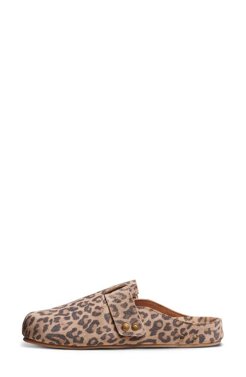 Shop Beek Vulture Cheetah Print Mule In Leopard