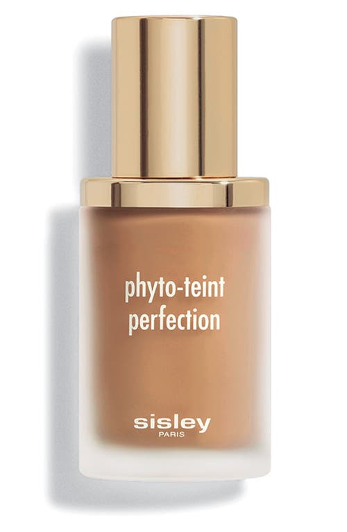 Sisley Paris Phyto-Teint Perfection Foundation in 6W Chestnut at Nordstrom, Size 1 Oz
