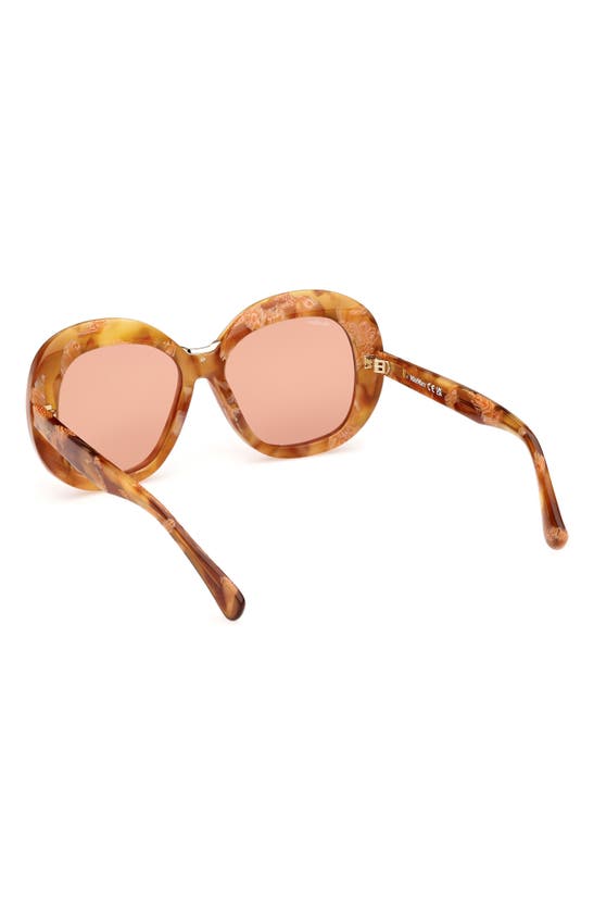 Shop Max Mara Edna 55mm Round Sunglasses In Havana / Brown