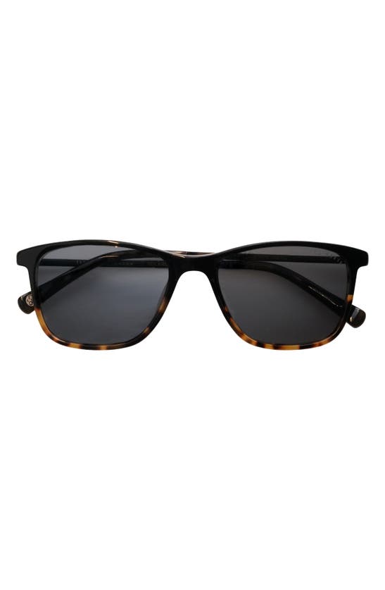 Ted Baker 54mm Square Polarized Sunglasses In Black