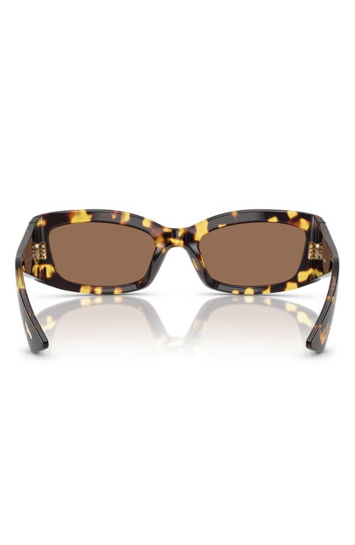 Oliver Peoples X Khaite 54mm Pillow Sunglasses In Dark Brown
