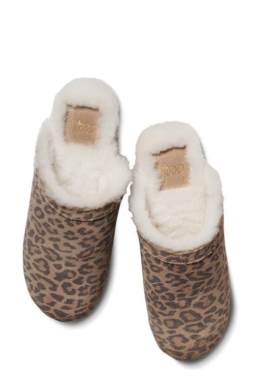Beek Woodpecker Genuine Shearling Clog In Leopard