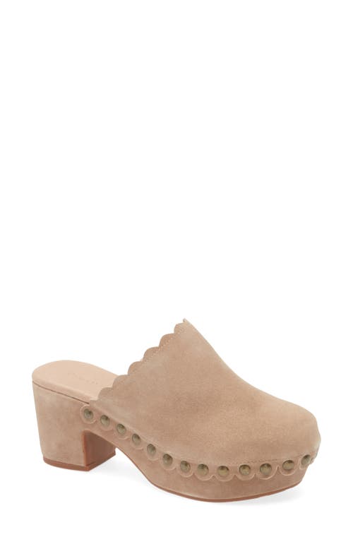 Shop Chocolat Blu Gareth Platform Mule In Latte Suede-shearling