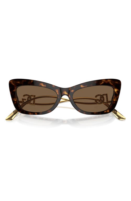 Dolce & Gabbana Dolce&gabbana 55mm Cat Eye Sunglasses In Multi