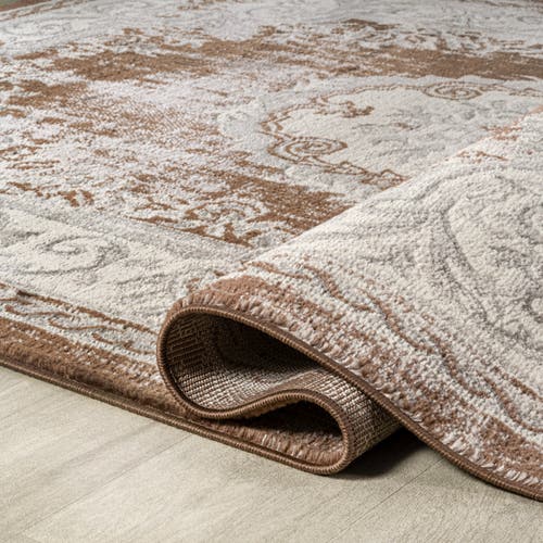 Jonathan Y Rosalia Cottage Medallion Area Rug In Brown/gray