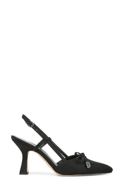 Shop Circus Ny By Sam Edelman Monica Pointed Toe Slingback Pump In Black