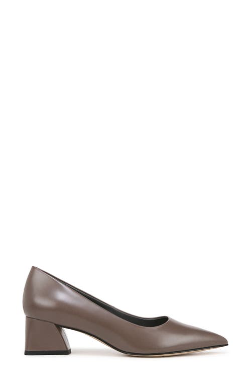 Shop Franco Sarto Racer Pointed Toe Pump In Brown