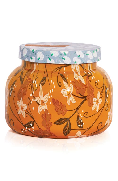 Capri Blue Pumpkin Dulce Pattern Play Signature Jar Candle In Pumpkin Dulce