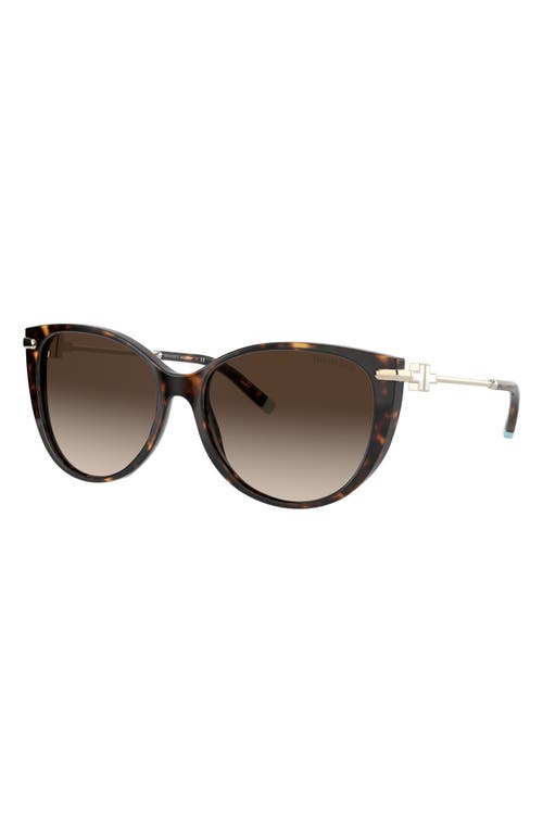 Shop Tiffany & Co . 57mm Gradient Cat Eye Sunglasses In Havana/brown Gradient