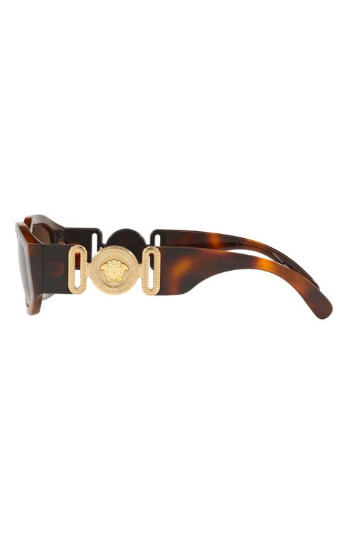 Shop Versace Biggie 53mm Round Sunglasses In Havana/brown Solid