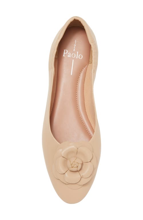 Shop Linea Paolo Nola Floral Ballet Flat In Beige