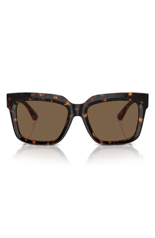 Shop Burberry 54mm Square Sunglasses In Dark Havana