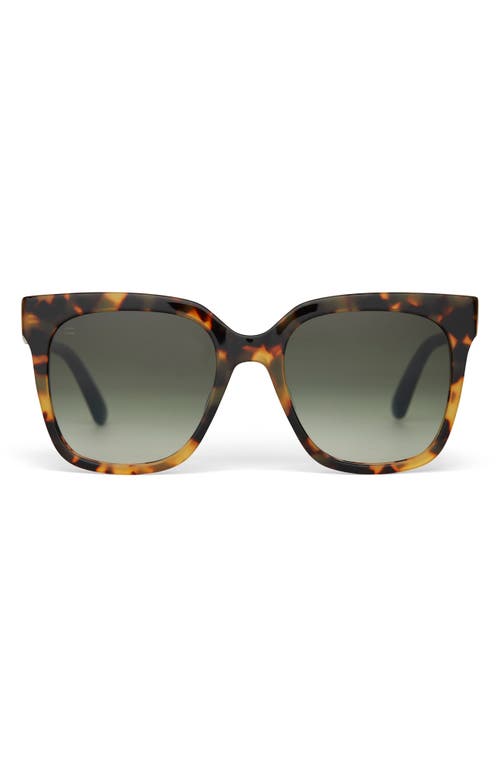 TOMS TOMS NATASHA 53MM POLARIZED SQUARE SUNGLASSES