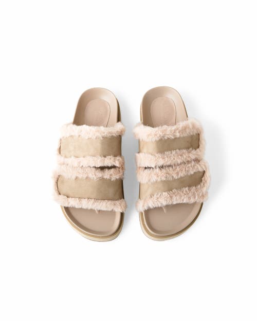 Walnut Melbourne Max Slide In Beige