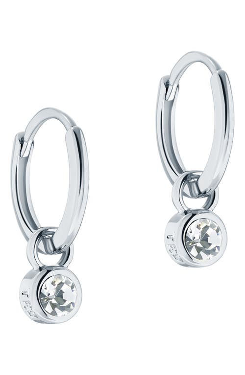 Ted Baker London Sinalaa Crystal Mini Huggie Hoop Earrings in Silver Tone Clear Crystal at Nordstrom