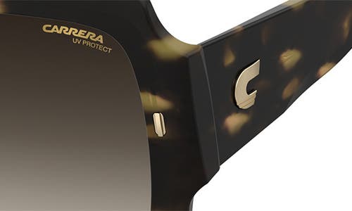 Carrera Eyewear 54mm Gradient Rectangular Sunglasses In Havana/brown Gradient