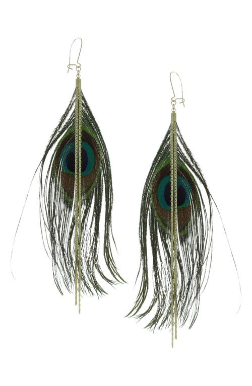 Shop Olivia Welles Peacock Feather Dangle Earrings In Gold/multi