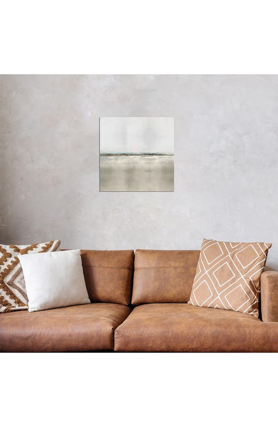 Icanvas Whisper Ii By Rachel Springer Canvas Wall Art In Multi
