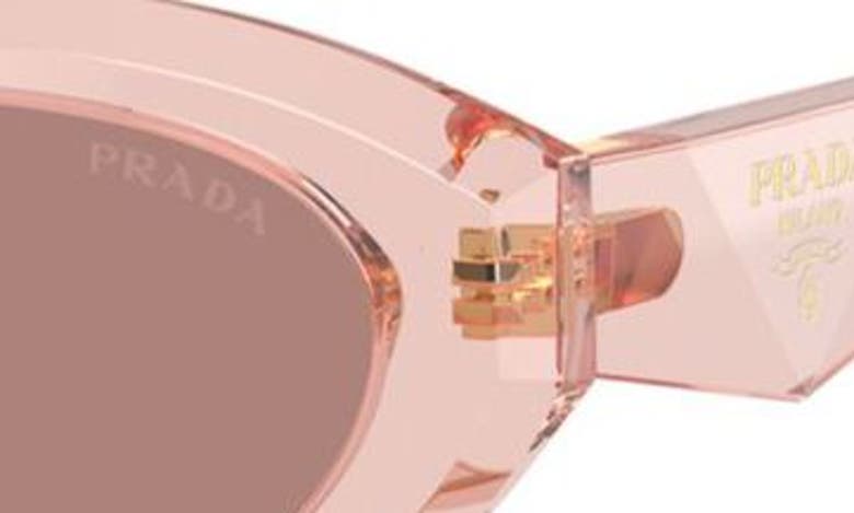 Prada 56mm Oval Sunglasses In Lite Brown