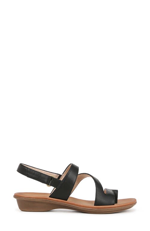 SOUL NATURALIZER SOUL NATURALIZER SHAKINA SLINGBACK SANDAL