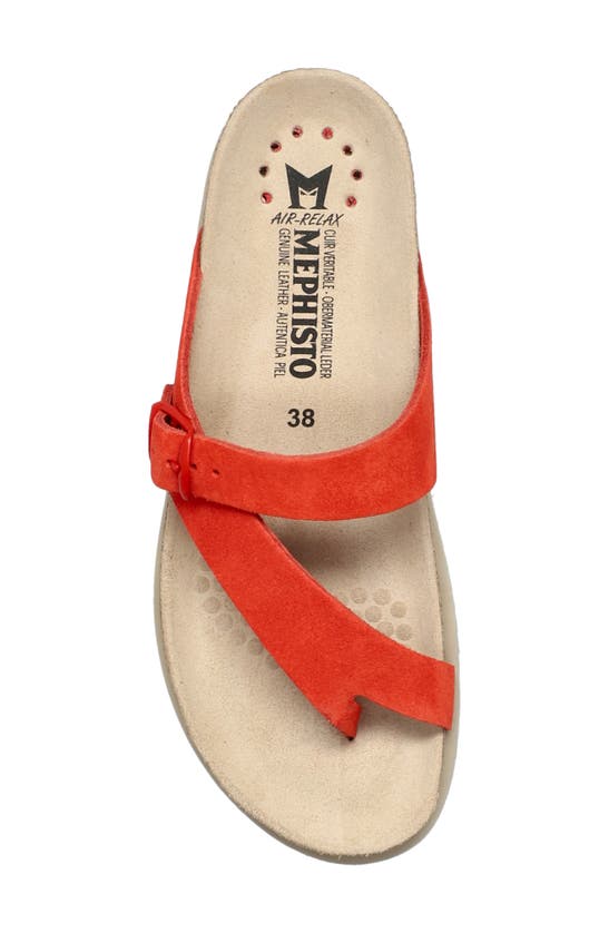 Shop Mephisto Helen Toe Loop Sandal In Coral Sandvel