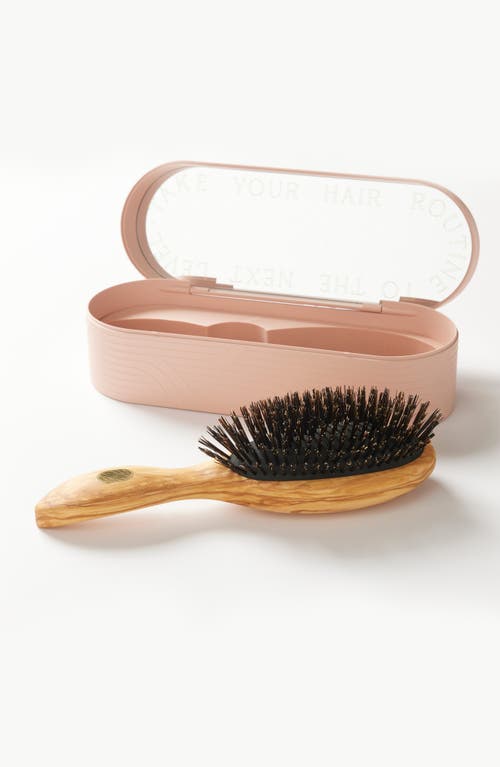 Shop Altesse Studio Beaute Classic Repair & Shine Brush For Thick Or Curly Hair In No Color