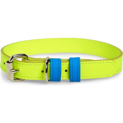 Ware Of The Dog Two-Tone Leather Dog Collar, Yellow